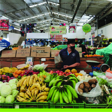 Análisis de varidad de los alimentos que ingresan a las pricipales centrales de abasto de Antioquia