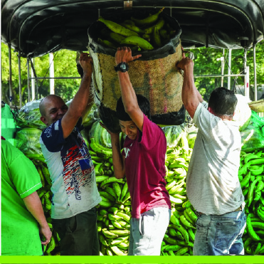 Análisis de la variedad de territorios conectados por el flujo de alimentos desde Antioquia hacia otras plazas en SIPSA